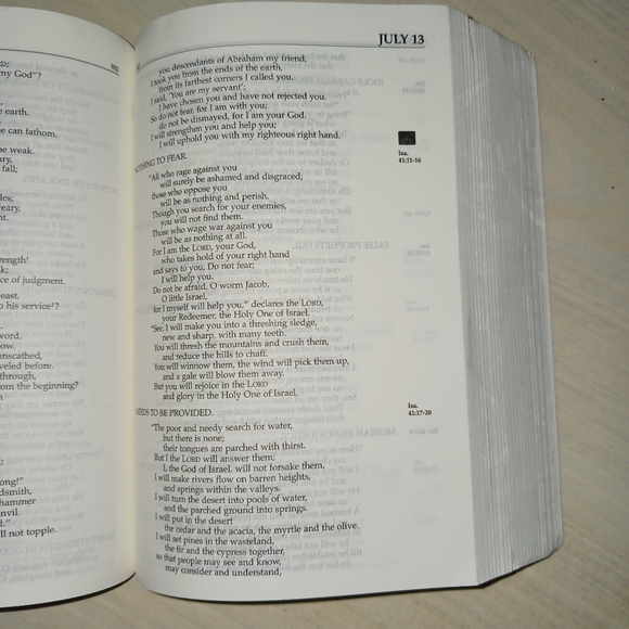 The Daily Bible in Chronological Order - Picture 7 of 8